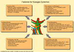 Faktoren für flüssiges Sprechen